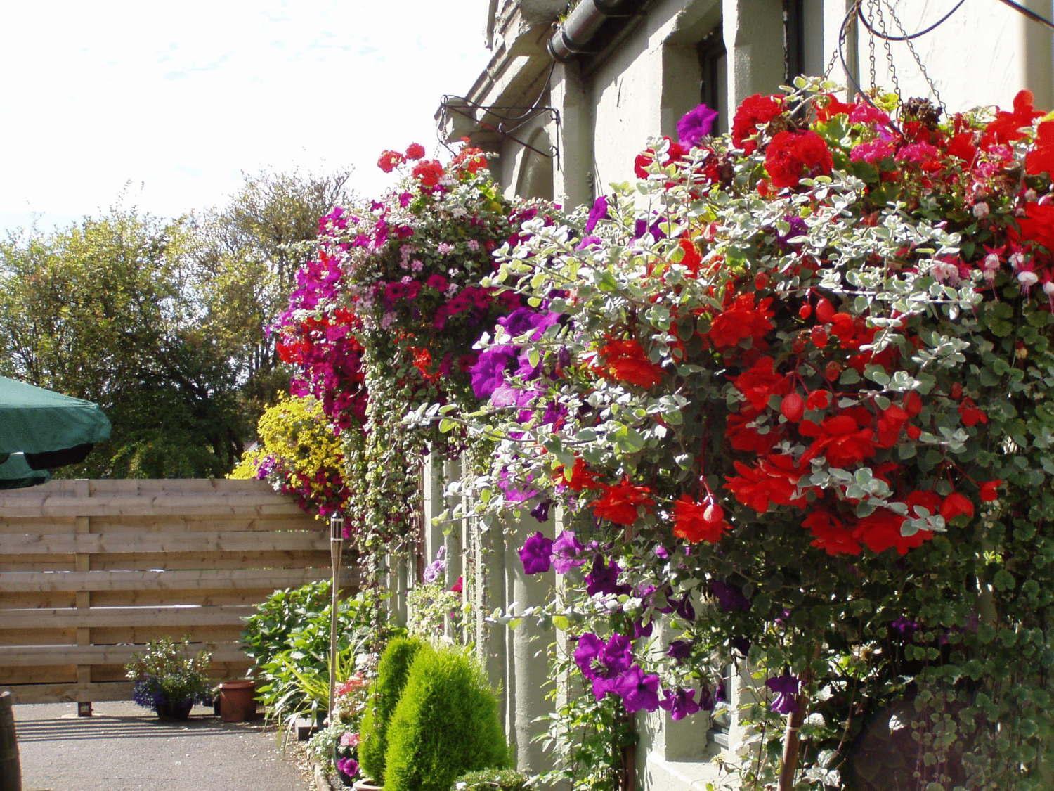 Auld Mill House Hotel Dunfermline Dış mekan fotoğraf